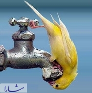 مدیریت بحران آب در روابط عمومی